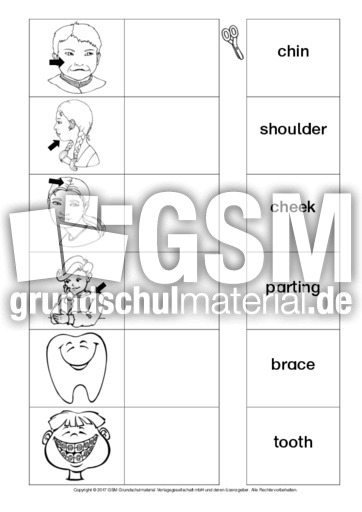 AB-my-body-Zuordnung 3.pdf